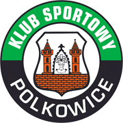 Gornik Polkowice